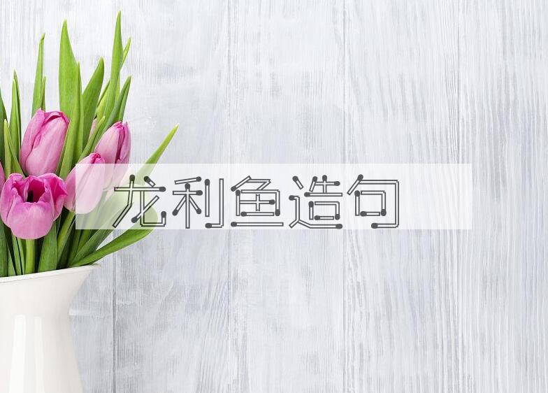 用龙利鱼造句