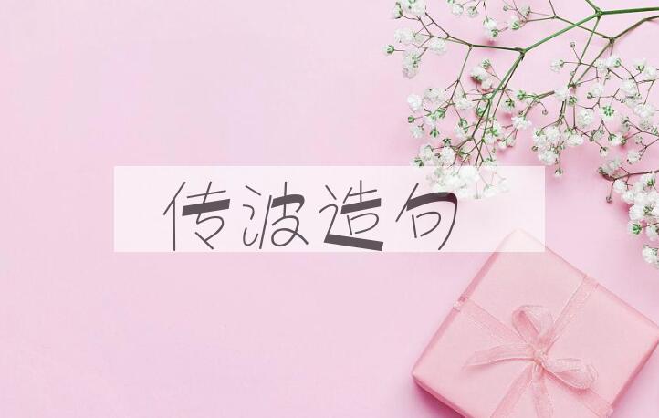 用传波造句