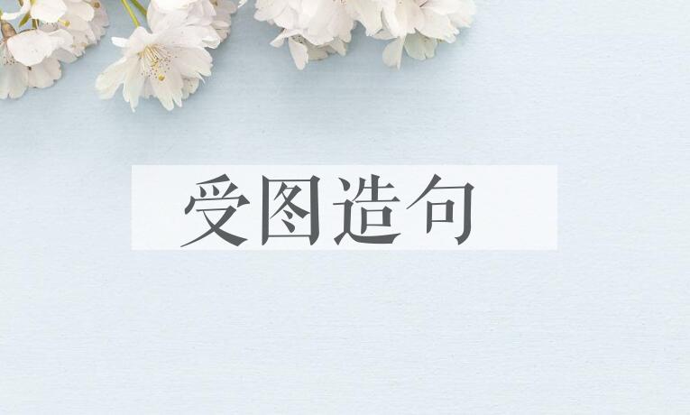 用受图造句