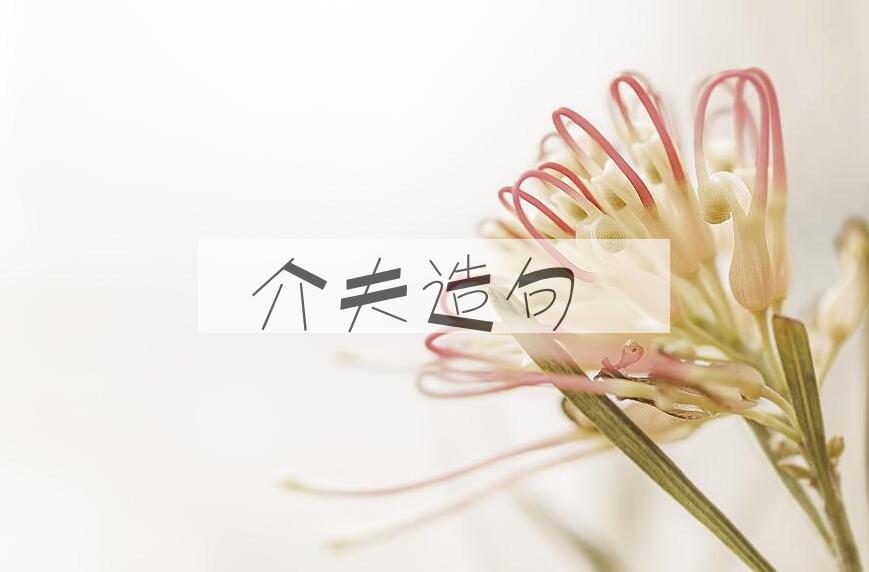 用介夫造句