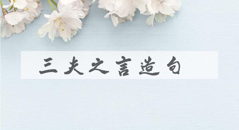用三夫之言造句