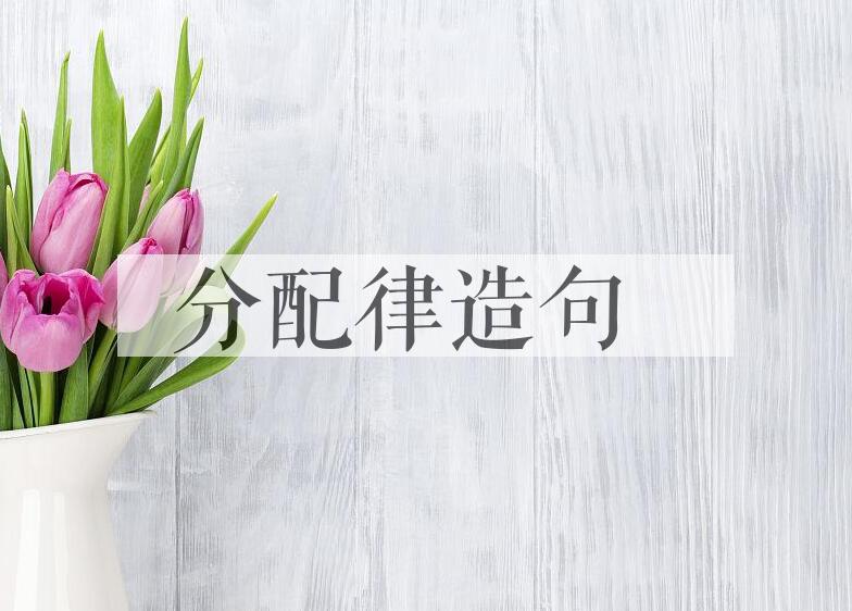 用分配律造句