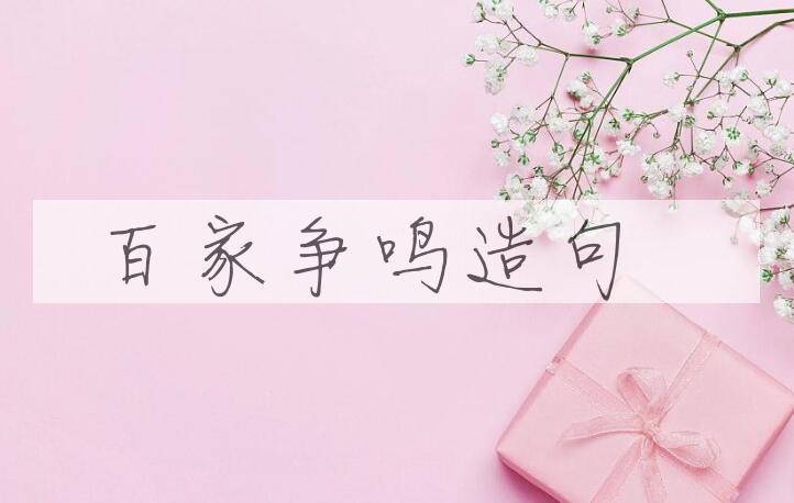 用百家争鸣造句