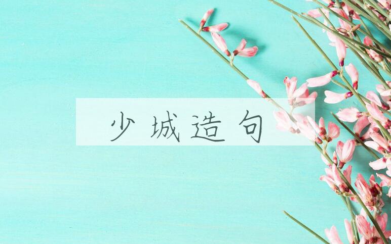 用少城造句