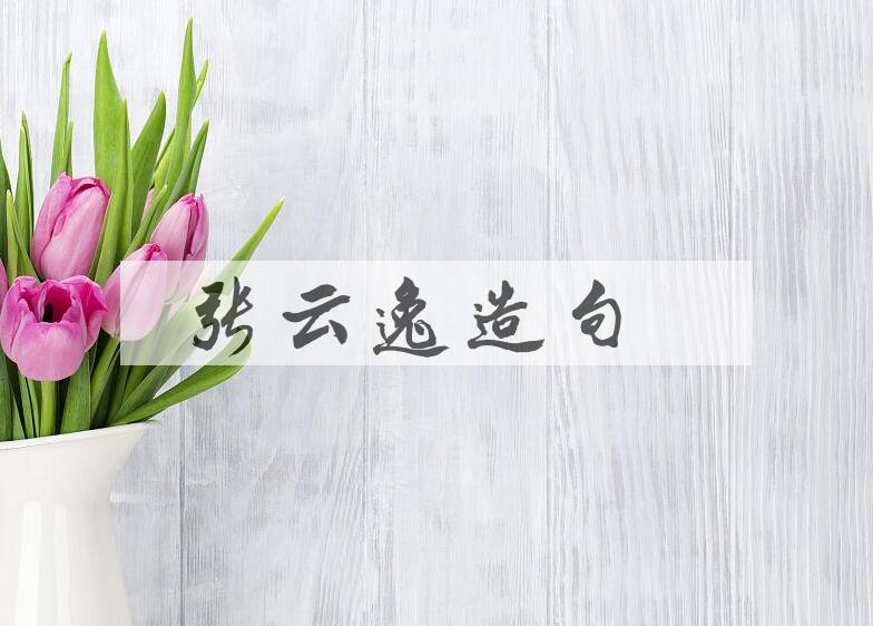 用张云逸(1892-1974)造句