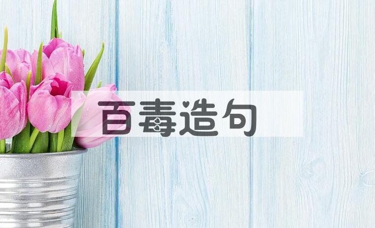 用百毒造句