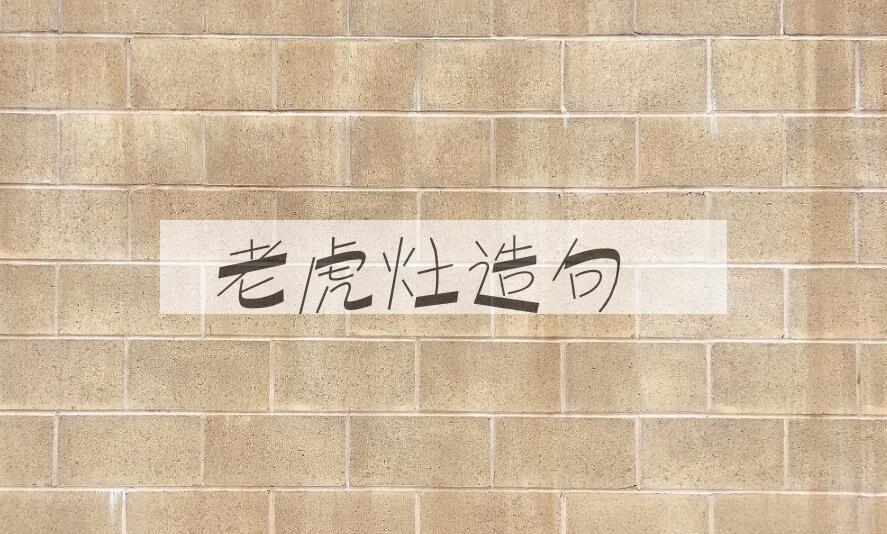 用老虎灶造句