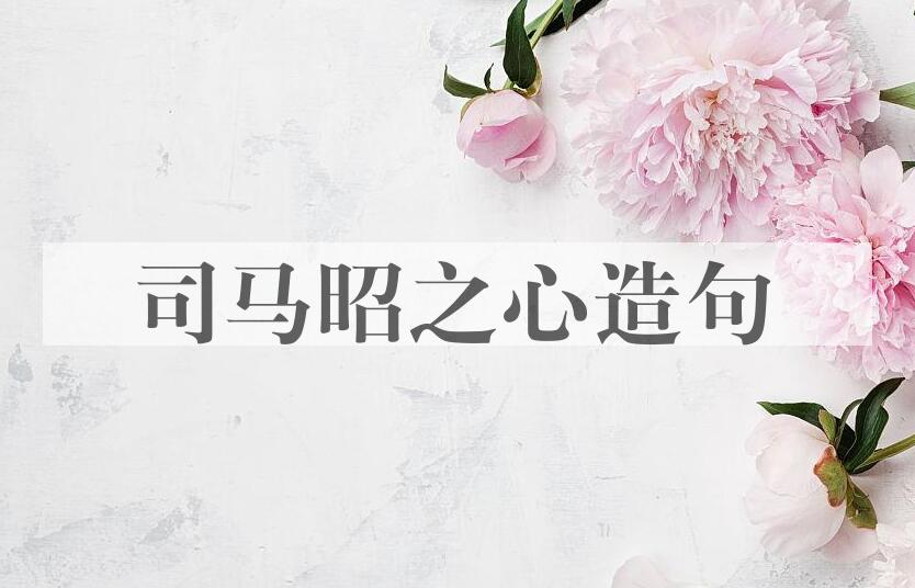 用司马昭之心造句