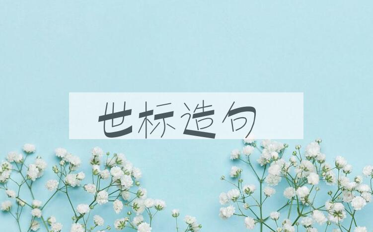 用世标造句