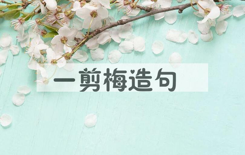 用一剪梅造句