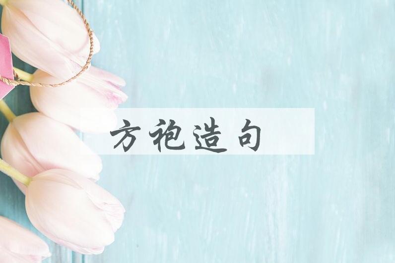 用方袍造句