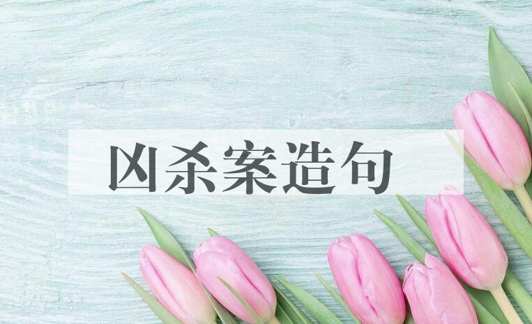用凶杀案造句