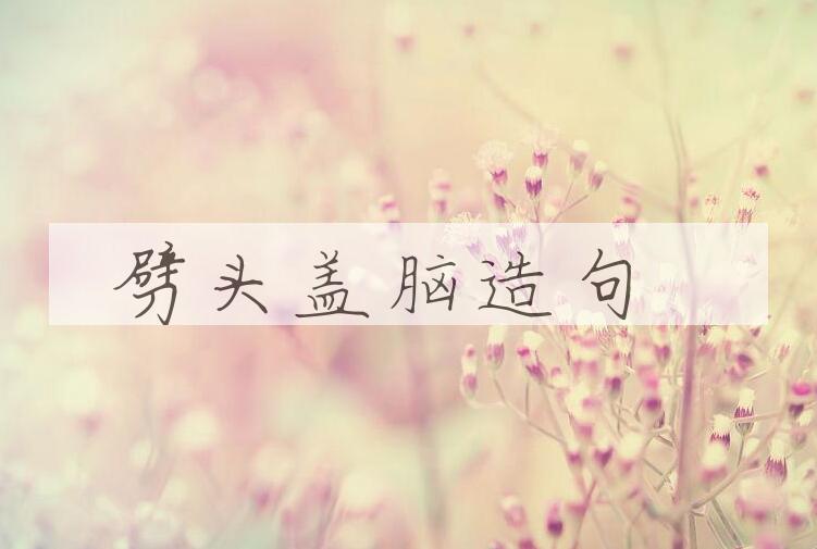 用劈头盖脑造句