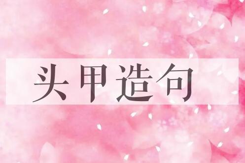 用头甲造句