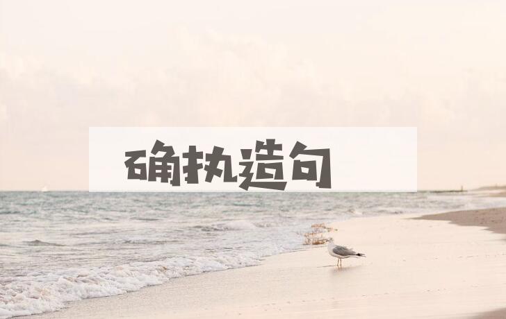 用确执造句