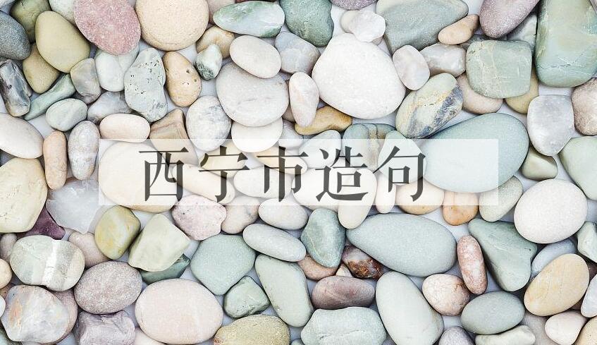 用西宁市造句