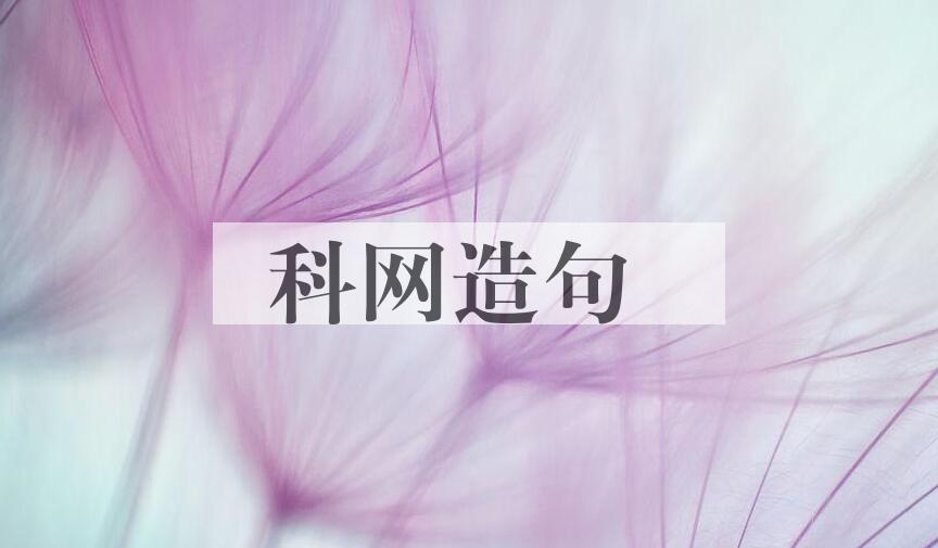 用科网造句