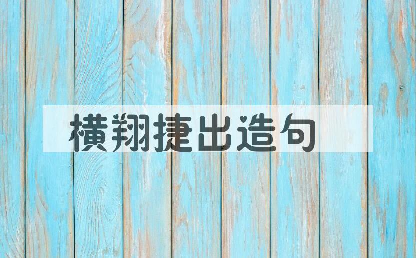 用横翔捷出造句