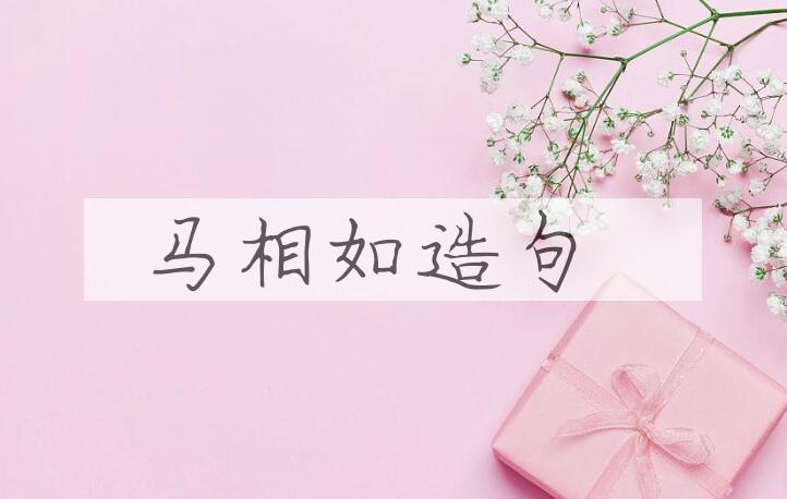 用马相如造句