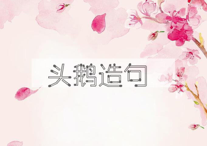 用头鹅造句