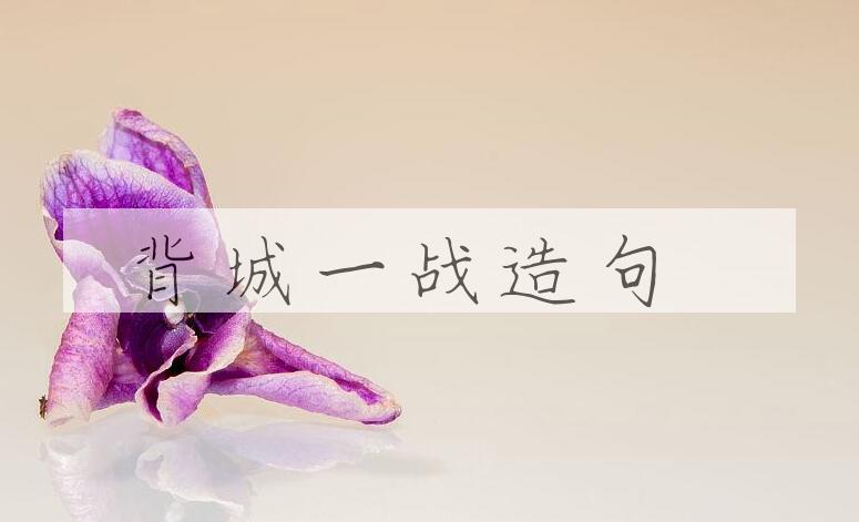 用背城一战造句