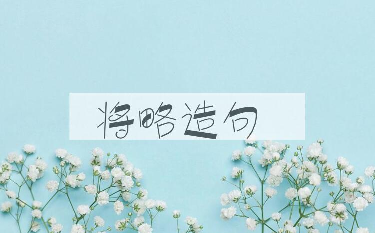 用将略造句