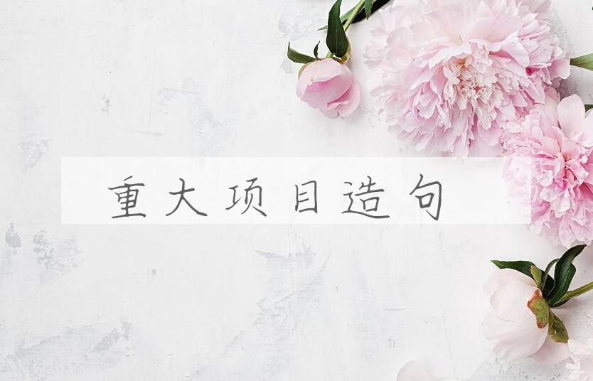 用重大项目造句