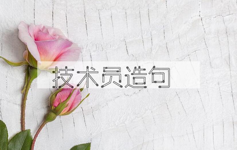 用技术员造句