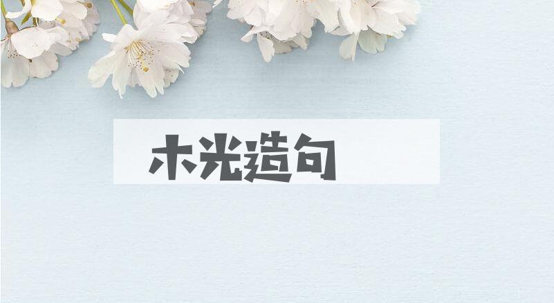 用木光造句