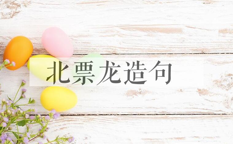 用北票龙造句