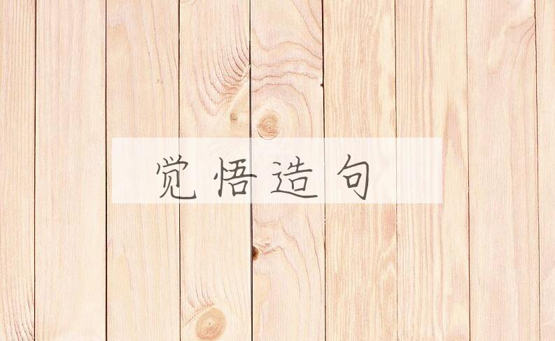 用觉悟造句