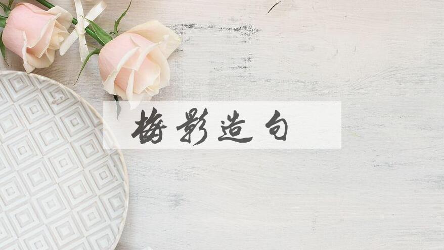 用梅影造句