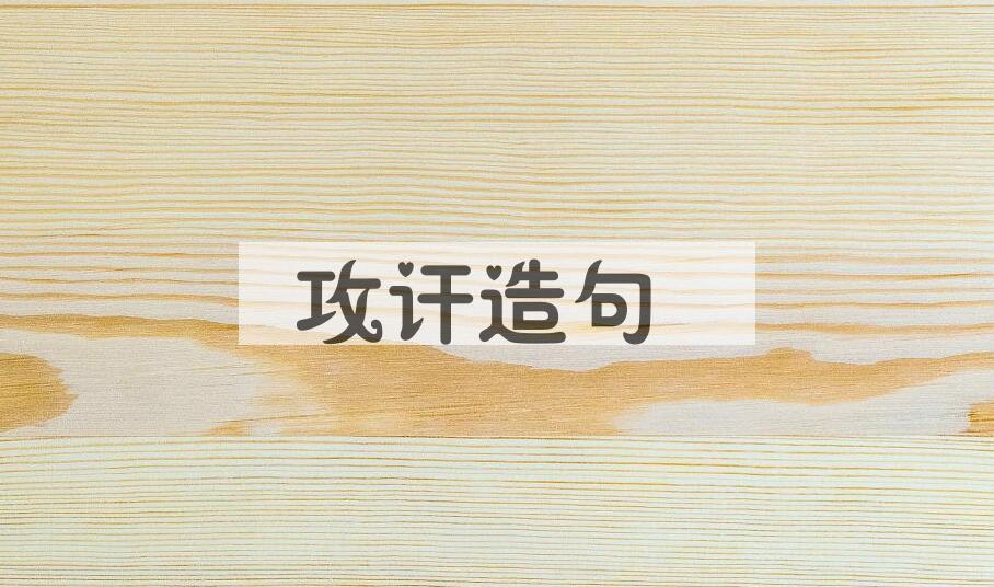 用攻讦造句