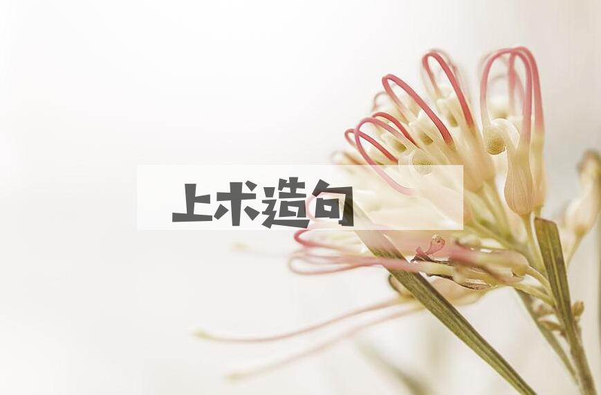 用上术造句