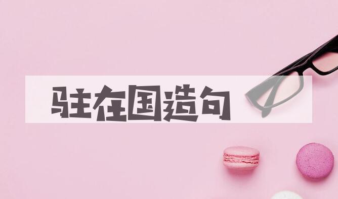用驻在国造句