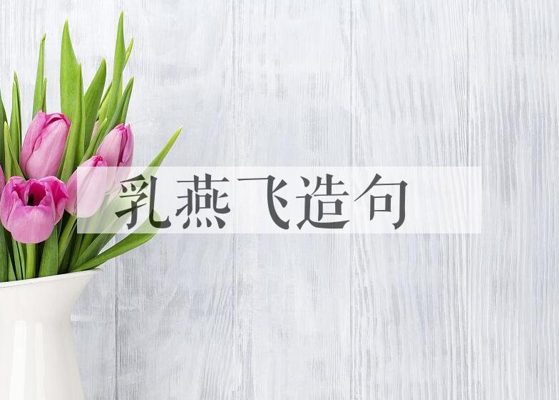 用乳燕飞造句