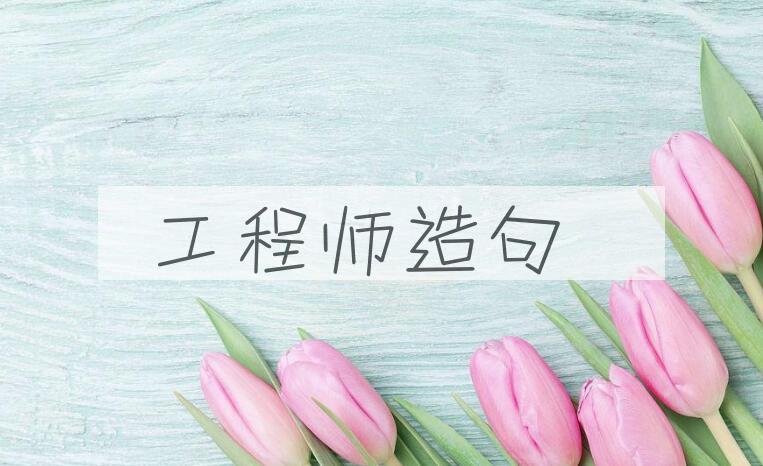 用工程师造句