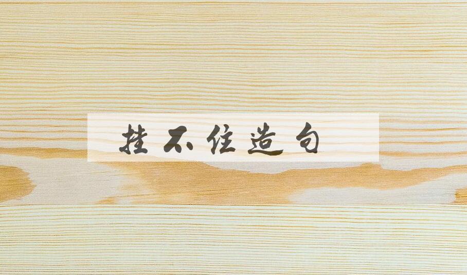 用挂不住造句