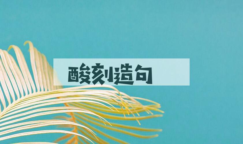 用酸刻造句