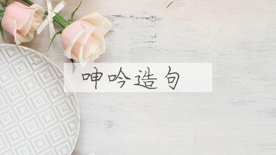 用呻吟造句