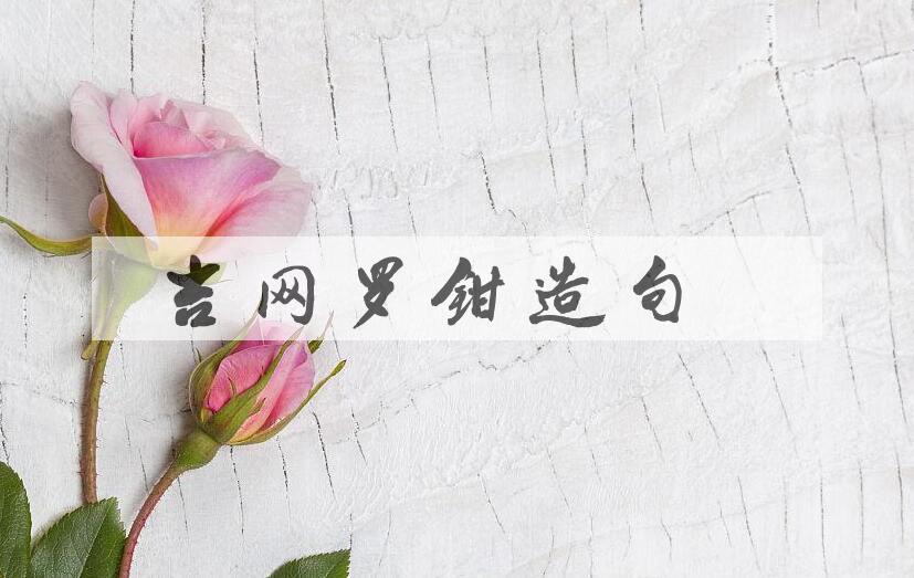 用吉网罗钳造句