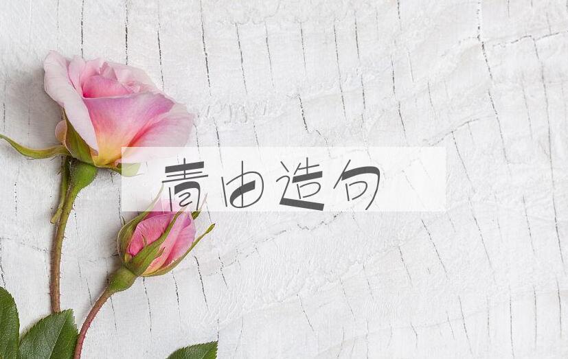 用青由造句
