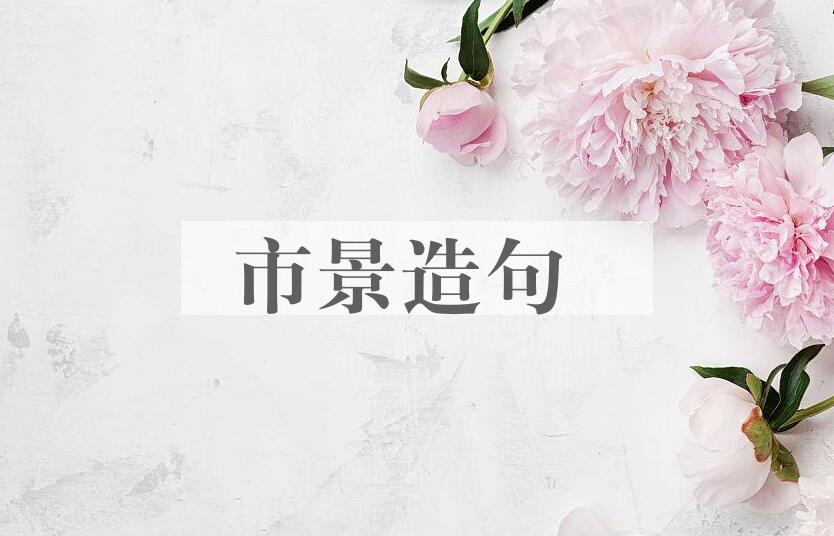 用市景造句