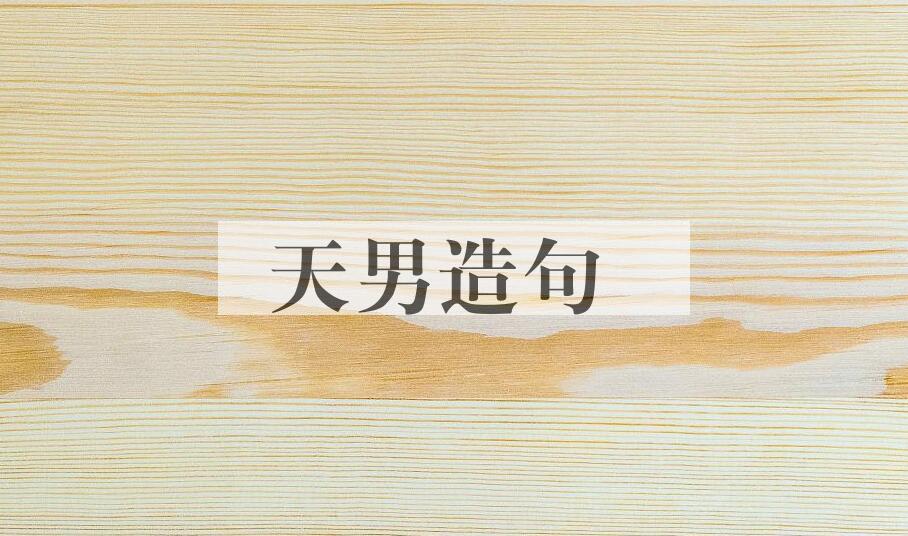用天男造句