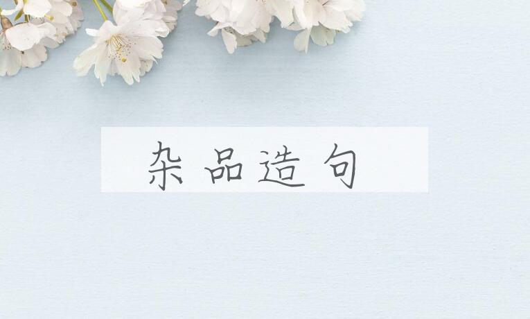 用杂品造句