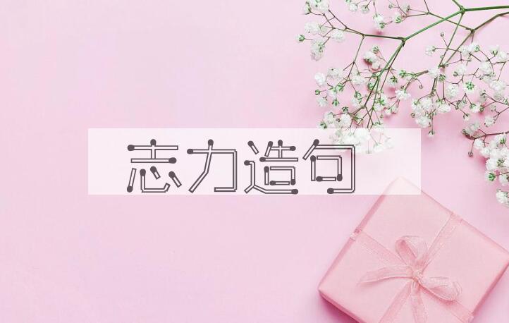 用志力造句