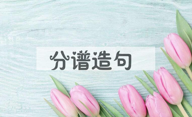 用分谱造句
