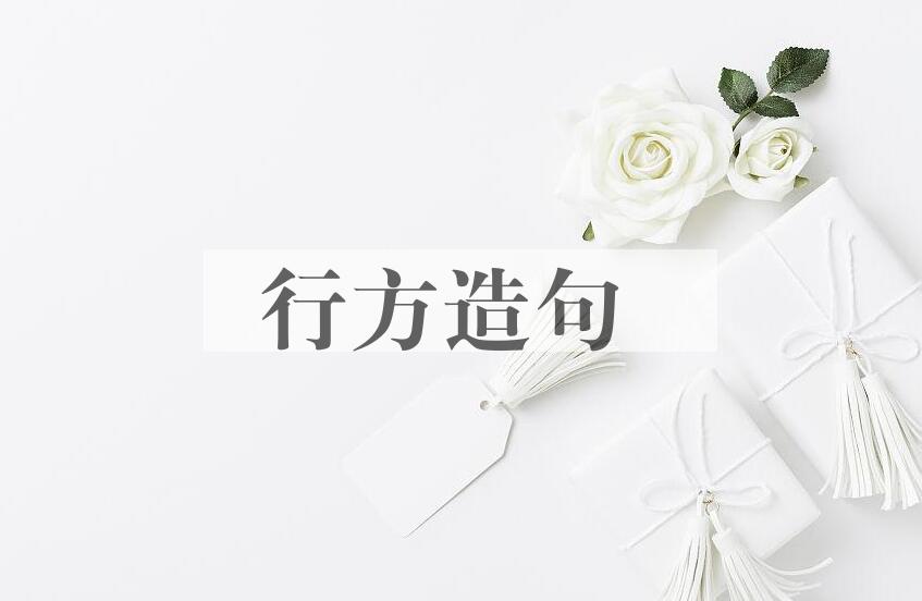 用行方造句