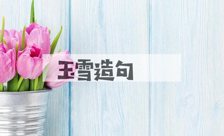 用玉雪造句