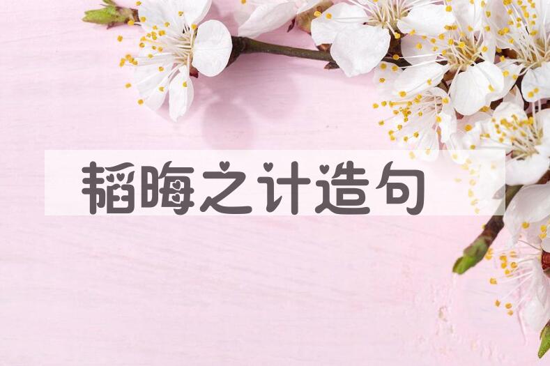 用韬晦之计造句